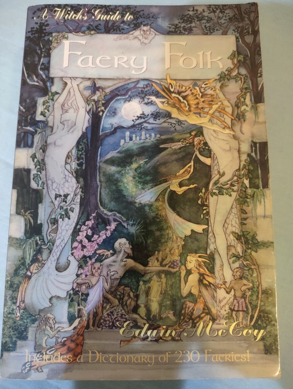 A Witch's Guide to Faery Folk — Purple Faery Reference Book Edain McCoy